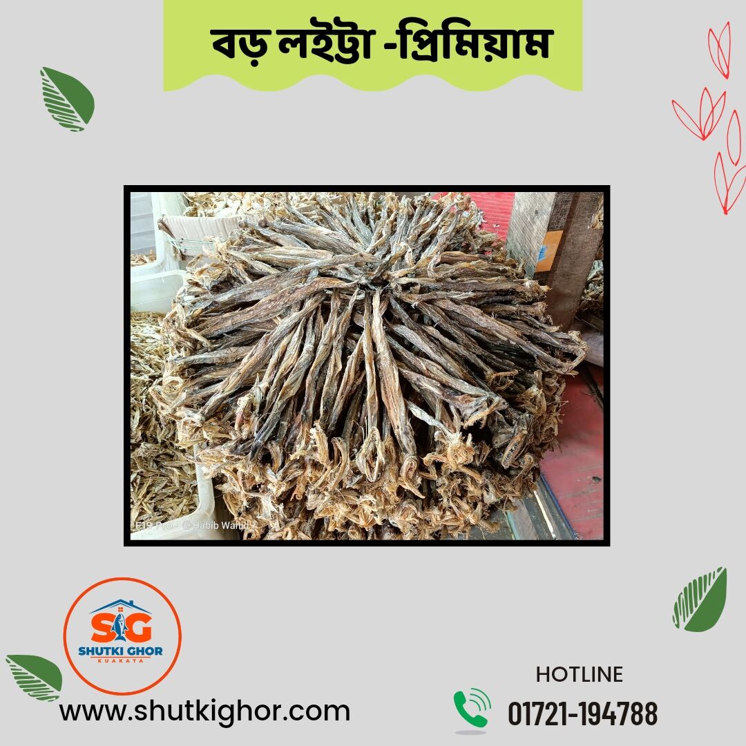 বড় লইট্টা-প্রিমিয়াম