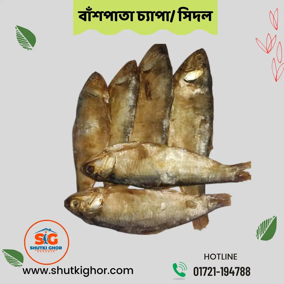 বাঁশপাতা চ্যাপা/ সিদল